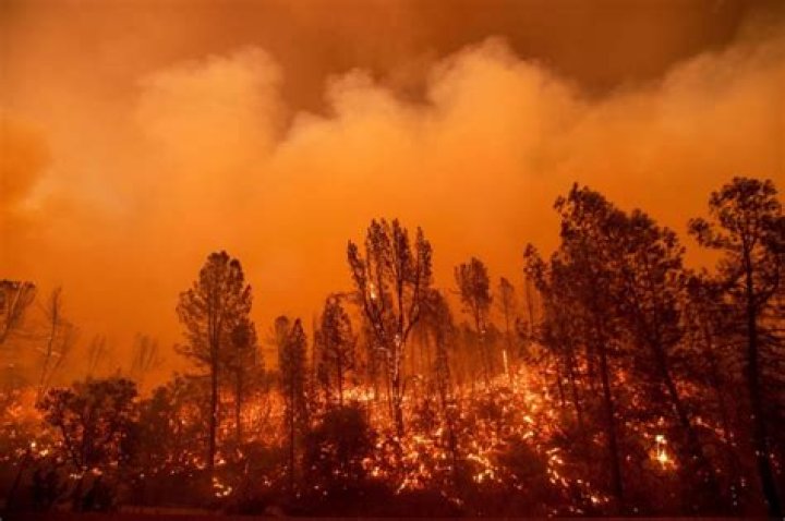The Carr Fire — PICS
