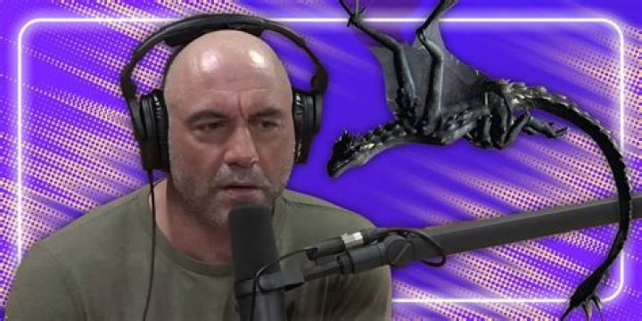 ‘The Challenge’ Preview: Rogan Admits He ‘Doesn’t Trust’ Kyle — ‘He’s A Snake’
