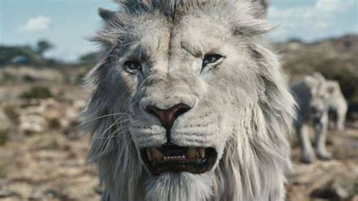 ‘The Lion King’ Movie: Photos – Hollywood Life