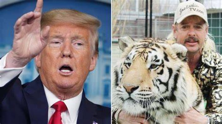 ‘Tiger King’s Joe Exotic Begs Kim Kardashian To Ask Donald Trump To Pardon Him: ‘I’m Innocent’