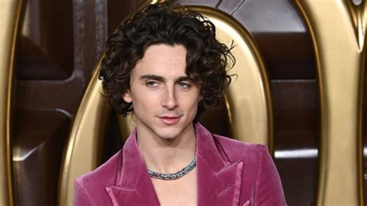 Timothee Chalamet Reveals if He Asked Johnny Depp for ‘Wonka’ Advice – Hollywood Life