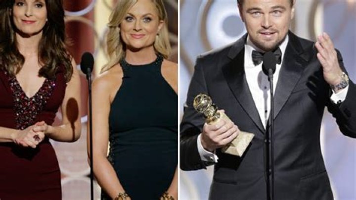 Tina Fey Disses Leonardo DiCaprio With Inappropriate Vagina Joke