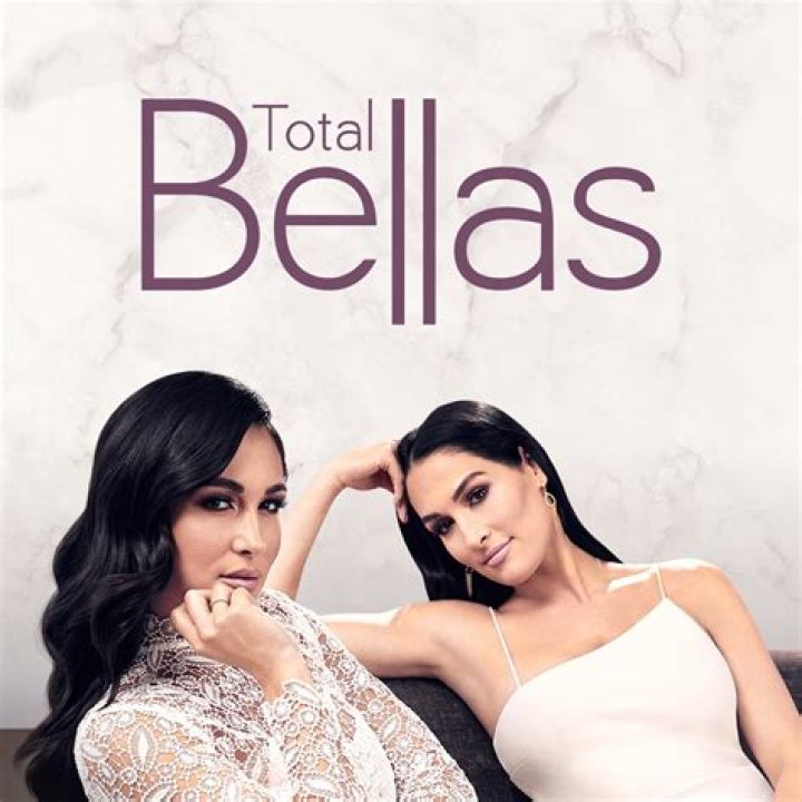 ‘Total Bellas’: Nikki Admits Artem Is The 1st Man She’s Ever Trusted — I Had ‘Commitment Issues’