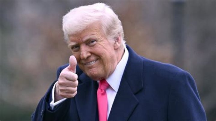 Trump Your Cat — Hilarious Pics