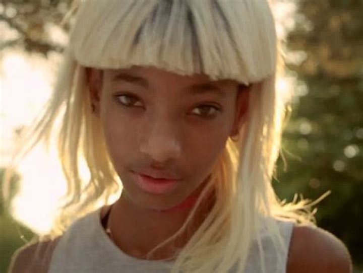[VIDEO] Willow Smith ‘Summer Fling’ — 12-Year-Old Sings Controversial Lyrics – Hollywood Life