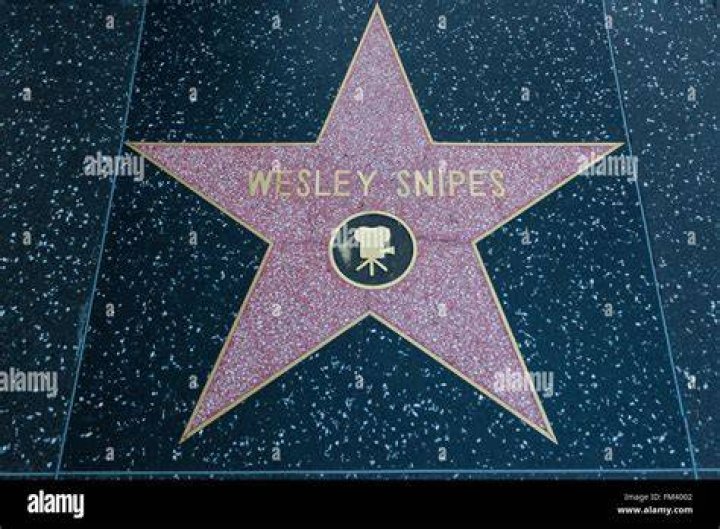 Wesley Snipes Stars – Hollywood Life