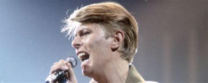 What Is Liver Cancer? 5 Things To Know About David Bowie’s Fatal Illness – Hollywood Life