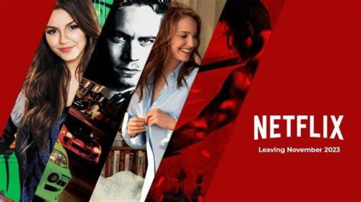 What’s New on Netflix in November 2023? The Full List – Hollywood Life