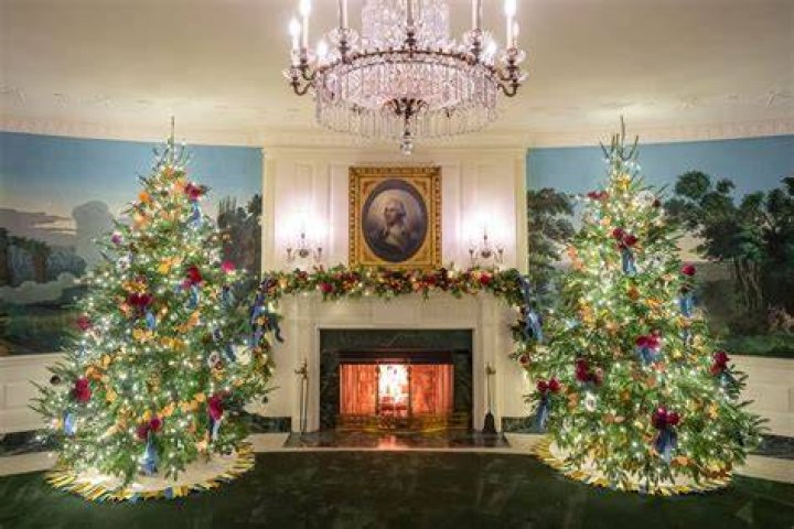 White House Christmas Decorations 2021: See Photos Of The Tree & More