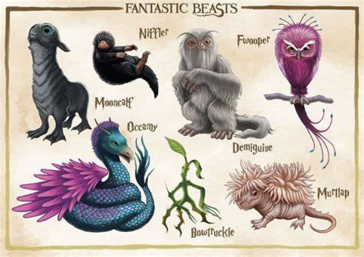 Who Is Nagini? Everything To Know About ‘Fantastic Beasts’ Character – Hollywood Life