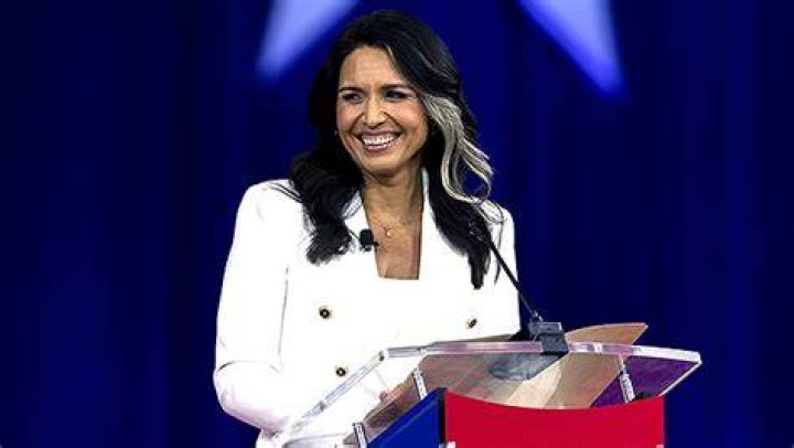 Who Is Tulsi Gabbard? 5 Things On The Former Hawaii Rep. – Hollywood Life
