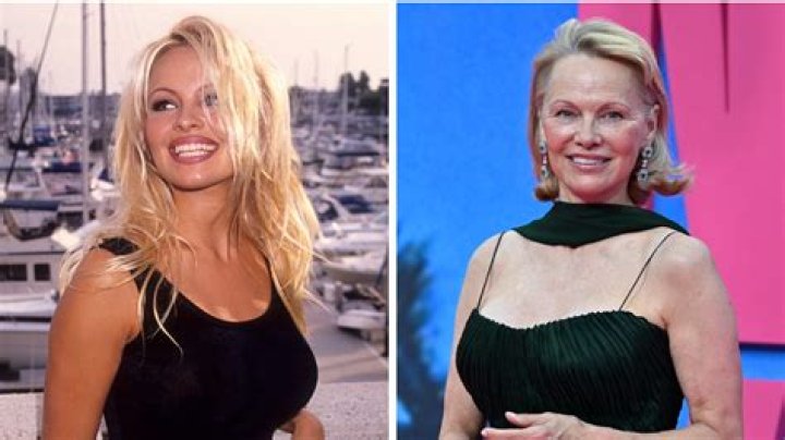 Why Pamela Anderson, 52, Split With Jon Peters, 74, & How Her 2 Sons Feel About It