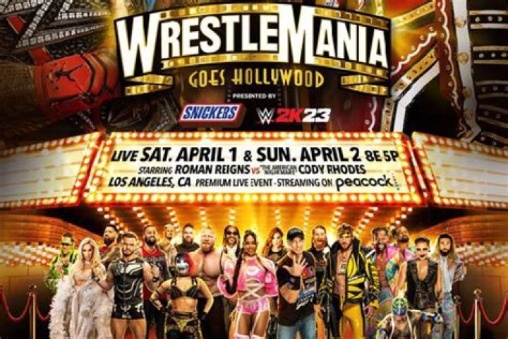 WrestleMania: The Bella Twins Talk Bridezillas, Boys & Babies
