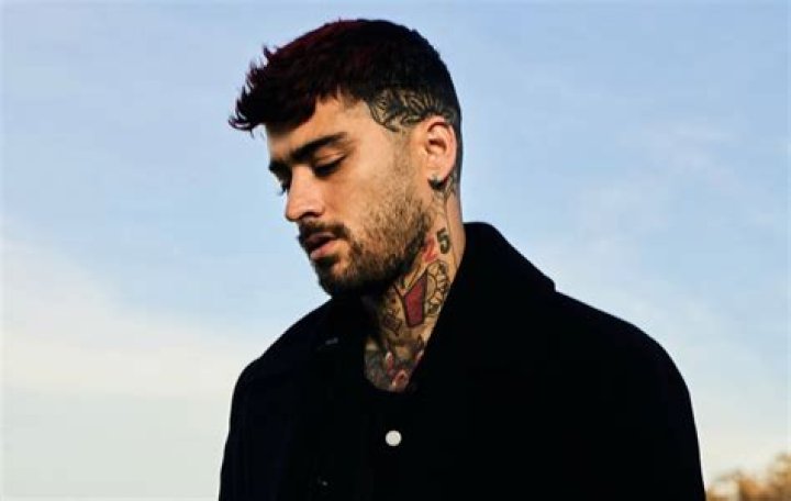 Zayn Malik: More Music About To Be Released? The Truth